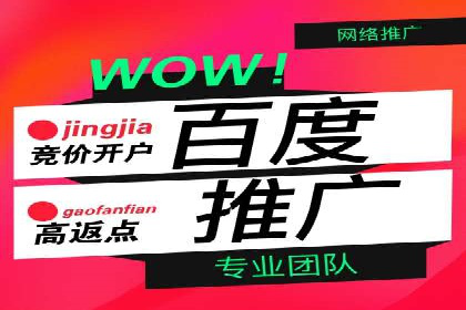 信息流广告成功案例深度剖析