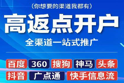 网络推广与竞价广告：双管齐下的策略案例